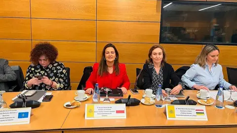 La consejera de Inclusi&oacute;n Social, Juventud, Familias e Igualdad, Bego&ntilde;a G&oacute;mez del R&iacute;o, participa en el pleno del Consejo Territorial de Servicios Sociales y del Sistema para la Autonom&iacute;a y Atenci&oacute;n a la Dependencia.

13 mar 25