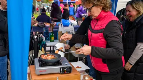 Ollas Astillero 25-29