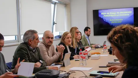 10:00 horas. Gobierno de Cantabria. Sala Bah&iacute;a, 4&ordf; planta 
La consejera de Presidencia, Justicia, Seguridad y Simplificaci&oacute;n Administrativa, Isabel Urrutia, preside la reuni&oacute;n del pleno de la Comisi&oacute;n de Protecci&oacute;n Civil.