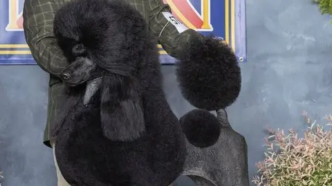 486132140_1078623887637379_4791744210856418799_n