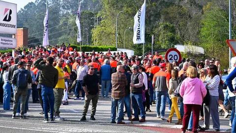 Manifestacion_planta-1