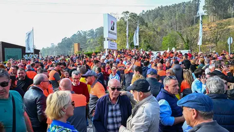 Manifestacion_planta-4