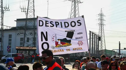 Manifestacion_planta-9