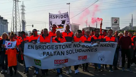 Manifestacion_planta-13