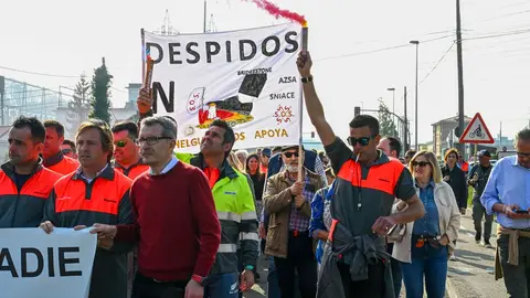 Manifestacion_planta-15