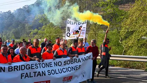 Manifestacion_planta-16