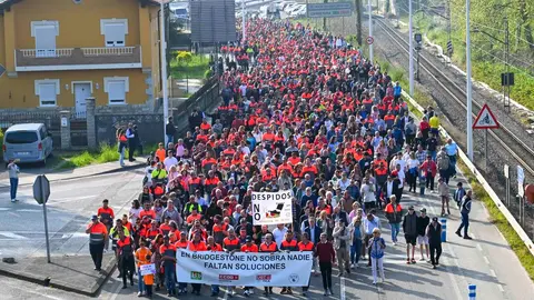 Manifestacion_planta-20