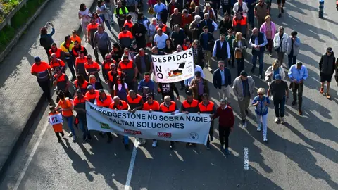 Manifestacion_planta-22