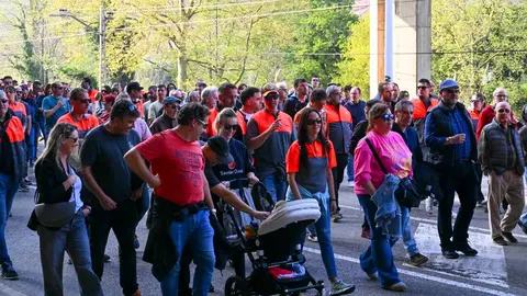 Manifestacion_planta-25