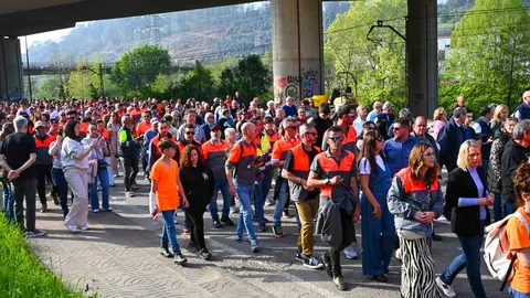 Manifestacion_planta-28