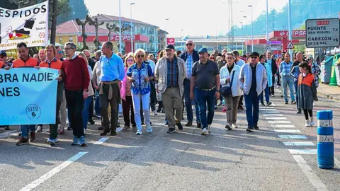 Manifestacion_planta-41