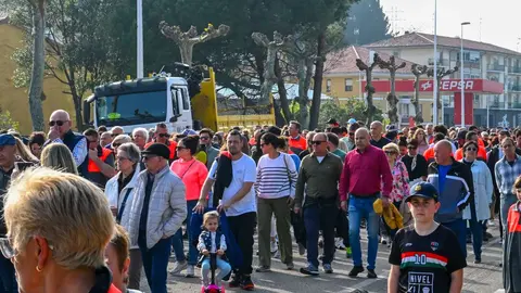 Manifestacion_planta-42