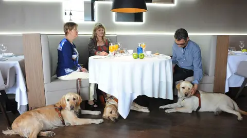 AT. Madrid (C. A. Madrid). 27/04/15.-
Reportaje a perro guia - Usuarios de perros guia en un Centro Comercial 
Lugar: El Corte Ingles de la C/ de Princesa
Imagen: Grupo de Usuarios de perros guia desayunando en el restaurante de El Corte Ingles.
FOTO: 5648.
Ref.:LOC-1002 (Rep:21) &iexcl;IECPR&Ccedil; ONCE/Javier Regueros/Lola Alejandre