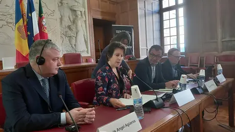 09:15 horas. Toulouse, Francia
El consejero de Econom&iacute;a, Hacienda, Fondos Europeos y Financiaci&oacute;n Auton&oacute;mica, Luis &Aacute;ngel Ag&uuml;eros, participa en el Comit&eacute; de Seguimiento del Programa Interreg Sudoe VI-B 2021-2027.

30 abr 28