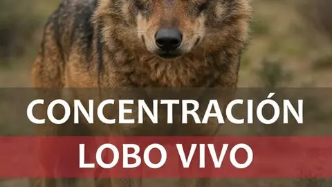 Imagen de WhatsApp 2025-05-04 a las 15.46.45_d631a02d