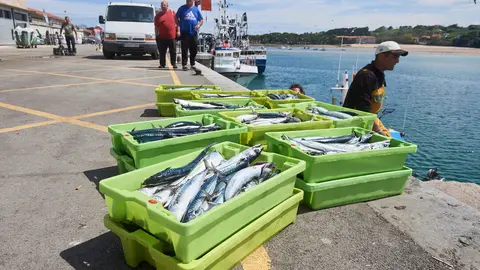 San Vicente de la Barquera (Cantabria)
25/04/2023

Photo: Cesar Ortiz Gonzalez

Buscan a un pescador de un barco gallego desaparecido al caer al mar en San Vicente de la Barquera