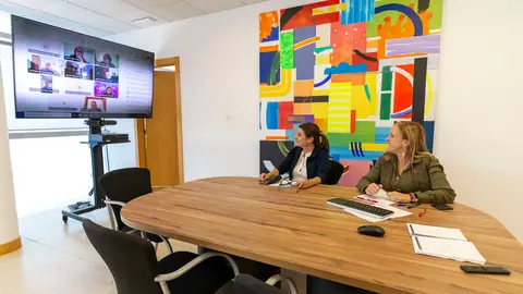 17:00 horas. Despacho de la consejera
La consejera de Presidencia, Justicia, Seguridad y Simplificaci&oacute;n Administrativa, Isabel Urrutia, se re&uacute;ne por videoconferencia con las Casas de Cantabria.
 23 MAYO 25 &copy; Miguel De la Parra