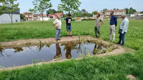 Torrelavega Conexi&oacute;n Natural