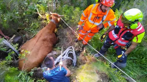 Captura de pantalla 2025-06-17 a las 20.25.52