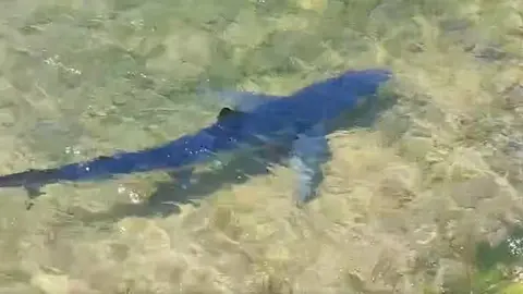 Captura de pantalla 2025-06-18 a las 20.45.08