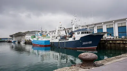 Pesca Pescadores Puerto Barrio Pesquero Lonja Barco