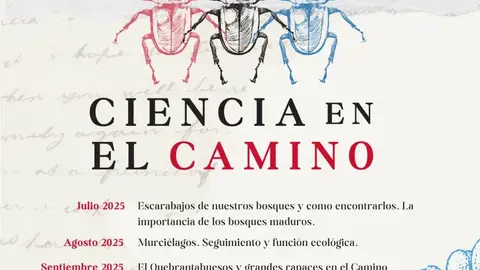 monochrome20simple20illustrated20biology20sea20shell20poster202