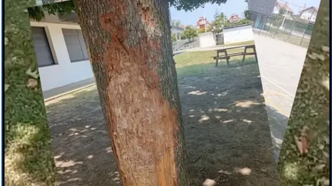 Captura de pantalla 2025-08-13 a las 13.31.08