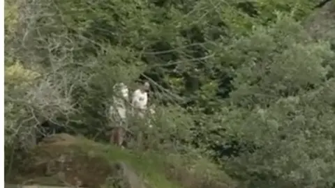 Captura de pantalla 2025-08-26 a las 17.22.27