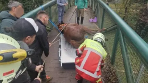 Captura de pantalla 2025-11-22 a las 19.49.31