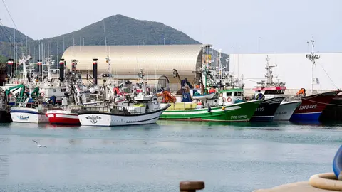25/3/22  Santo&ntilde;a
EP Barcos pesqueros atracados 



FOTO: JUAN MANUEL SERRANO ARCE