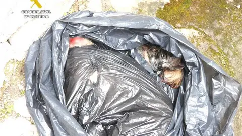 WhatsApp Image 2025-12-11 at 11.18.29