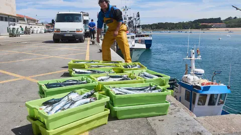 San Vicente de la Barquera (Cantabria)
25/04/2023

Photo: Cesar Ortiz Gonzalez

Buscan a un pescador de un barco gallego desaparecido al caer al mar en San Vicente de la Barquera