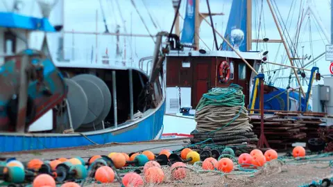 nets and ropes in the harbor of burgstaaken, fehmarn, germany