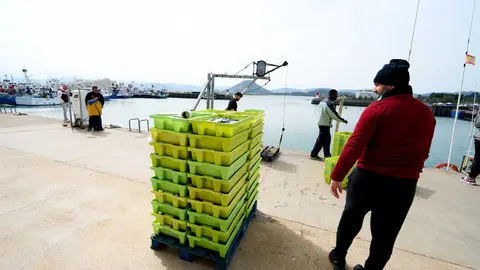 25/3/22  Santo&ntilde;a
EP Barcos pesqueros atracados 



FOTO: JUAN MANUEL SERRANO ARCE