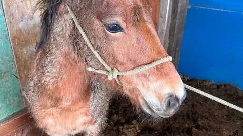 WhatsApp Image 2026-02-11 at 11.34.08