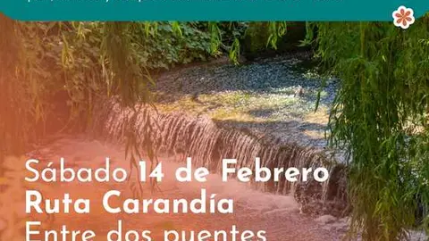 CARTEL 'S&Aacute;BADOS DE RUTA'  AYTO PI&Eacute;LAGOS - CARAND&Iacute;A 