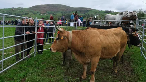 12:30 horas. Selaya. La consejera de Desarrollo Rural, Ganader&iacute;a, Pesca y Alimentaci&oacute;n, Mar&iacute;a Jes&uacute;s Susinos, asiste a la Feria Ganadera Valle de Pisue&ntilde;a. 26 de octubre de 2024 &copy; Ra&uacute;l Lucio