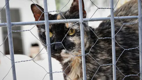 Captured at Madrid on 2-Jun 2020 by Jesus Hellin