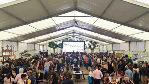 feria 26 - 1