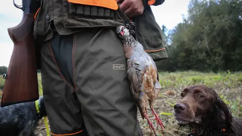 Labrada, Abad&iacute;n. Comienzo de la temporada de caza menor en Galicia, que ha coincidido con la llegada de la lluvia tras un verano de intensa sequ&iacute;a
