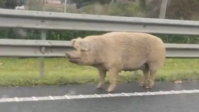 Captura de pantalla 2025-01-30 a las 14.29.04