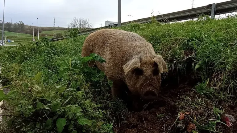 475658824_919078933748909_7399598815734889709_n