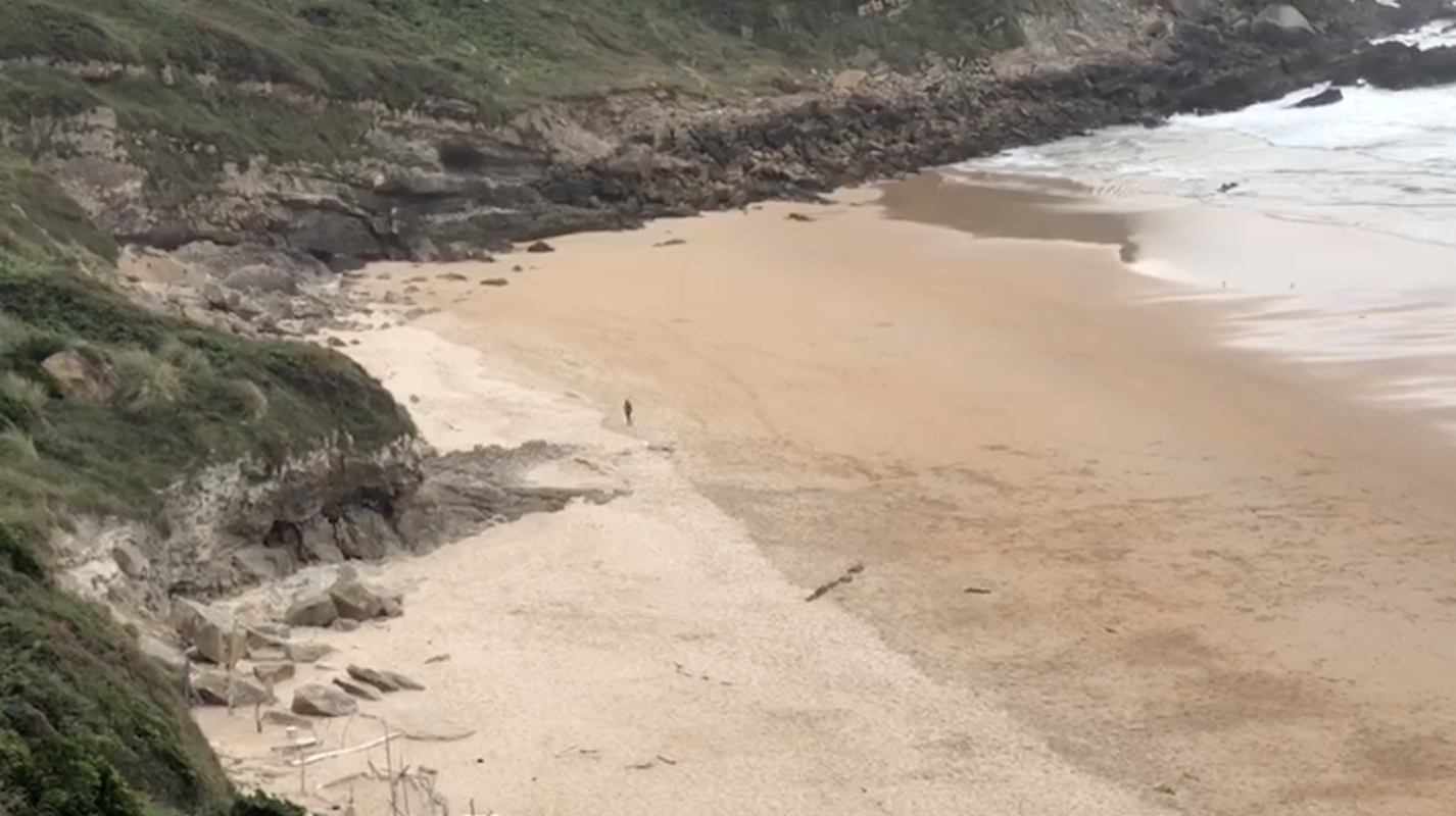 Captura de pantalla 2019-08-09 a las 18.39.20