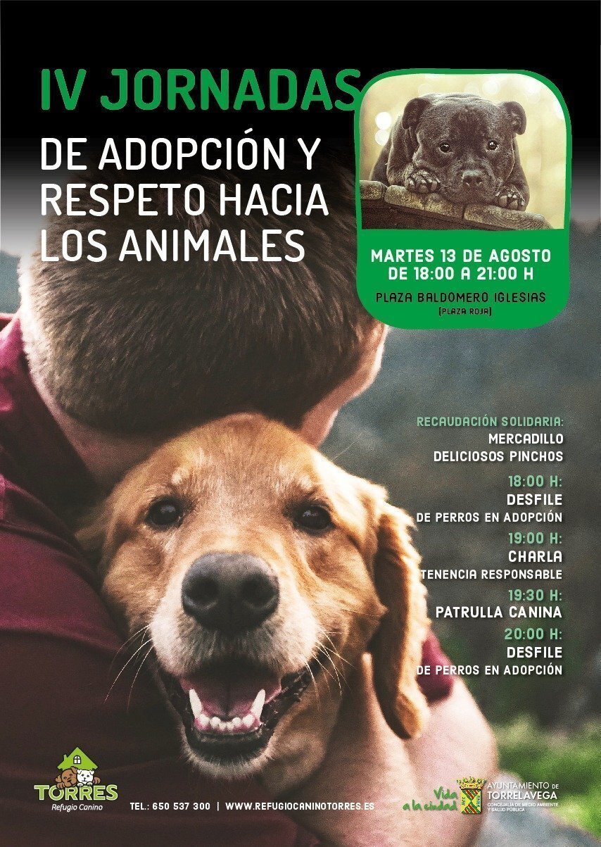 WhatsApp Image 2019-08-12 at 13.49.09