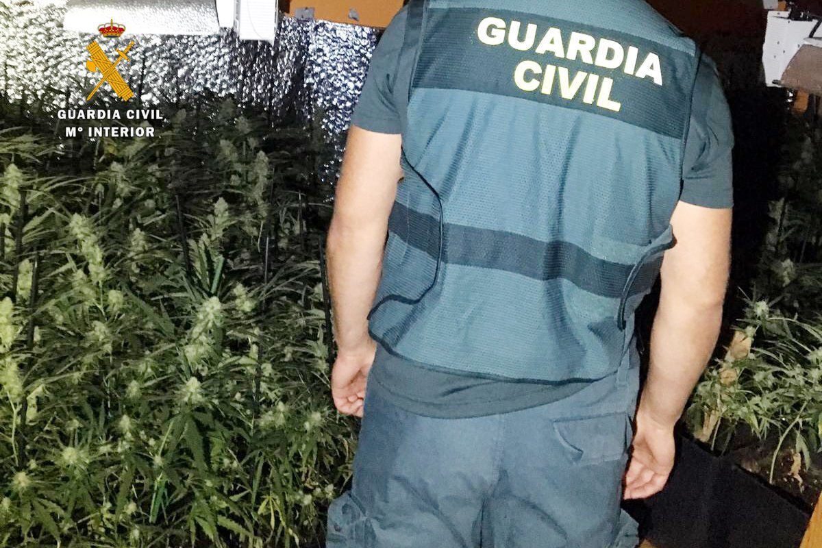 extasis y marihuana Adal Treto3