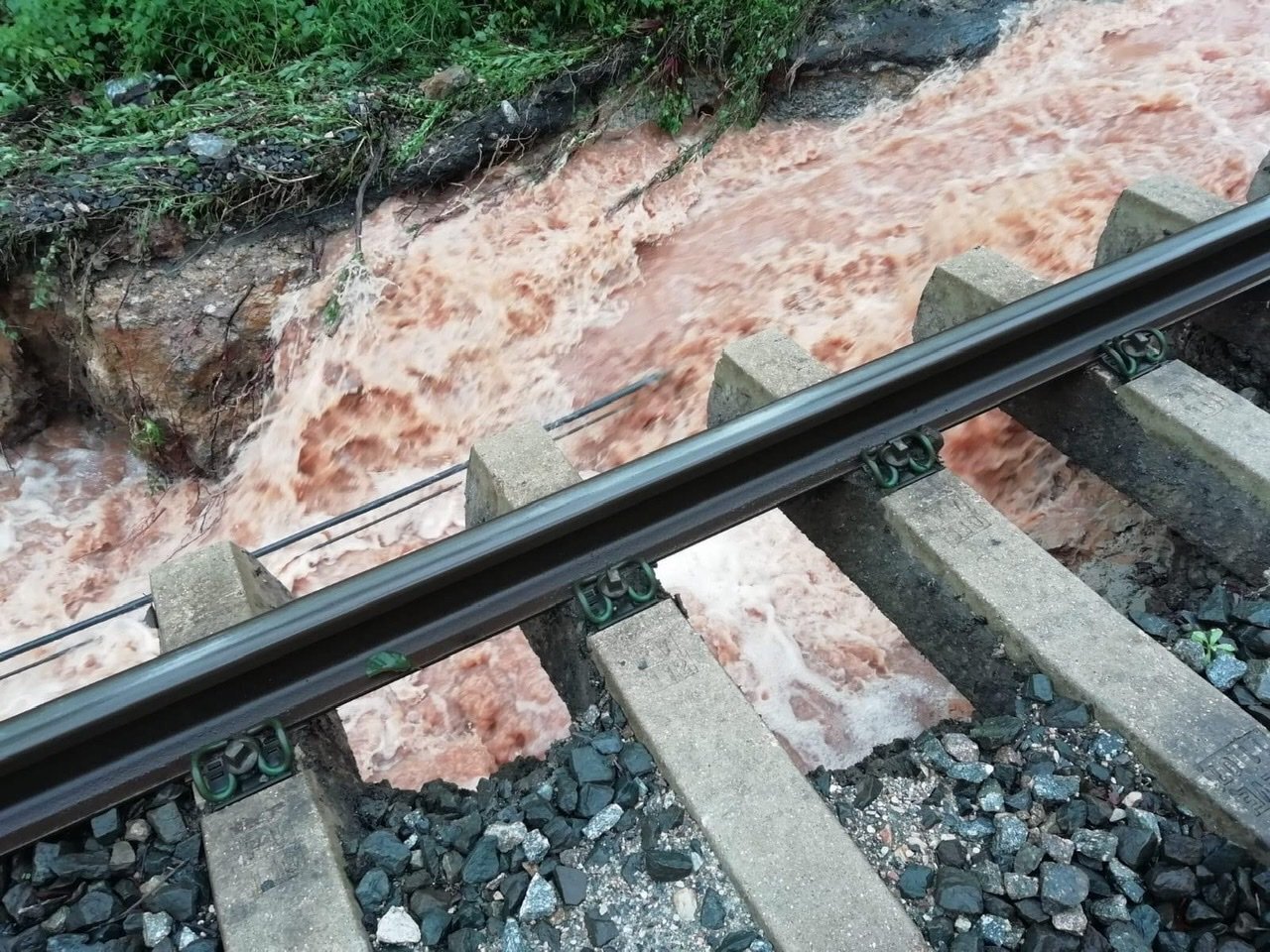 459CAE91-A5CD-451D-A976-73832285277B