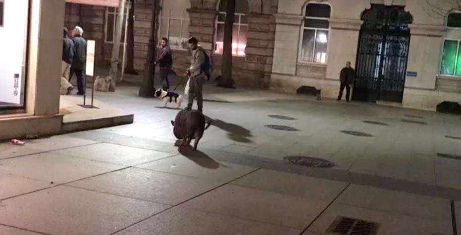 WhatsApp Image 2020-02-01 at 19.59.56