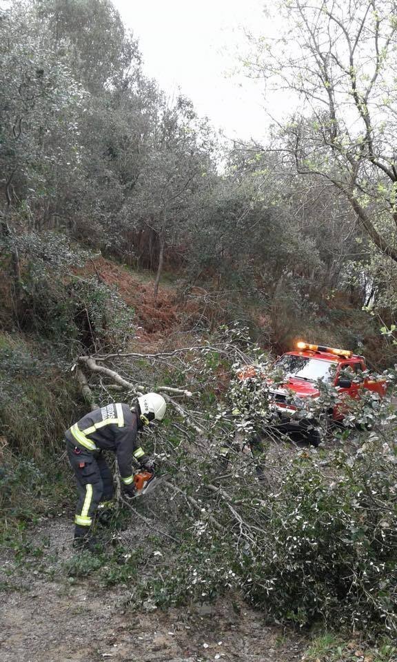 88149208_10158271740685663_4207108908122112000_n