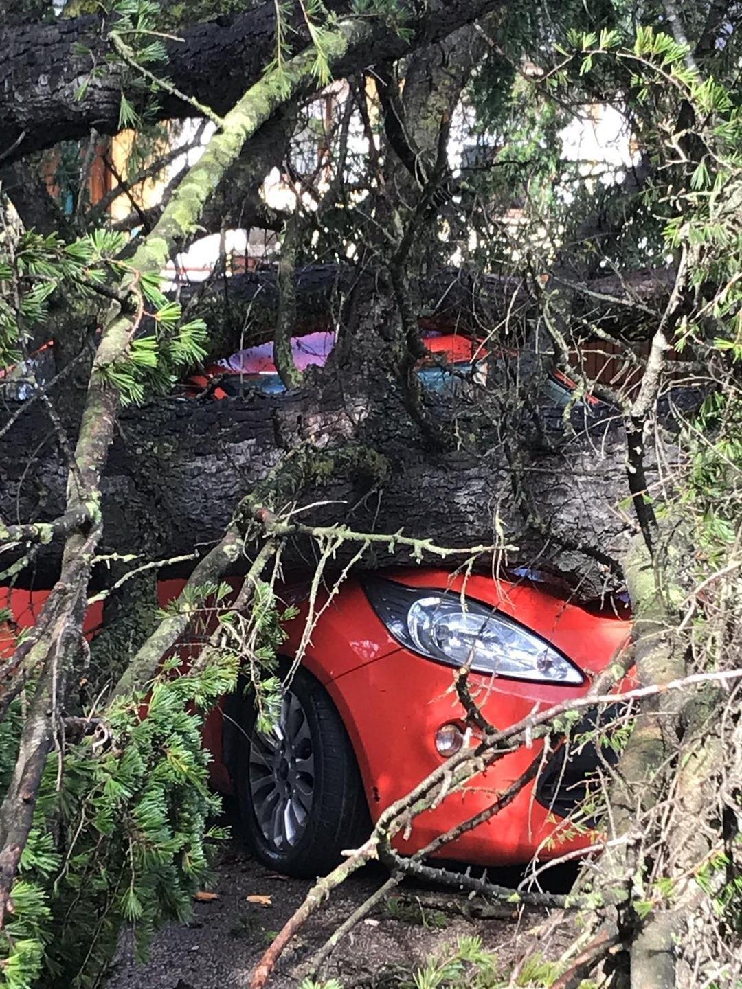 PHOTO-2020-03-06-15-06-42