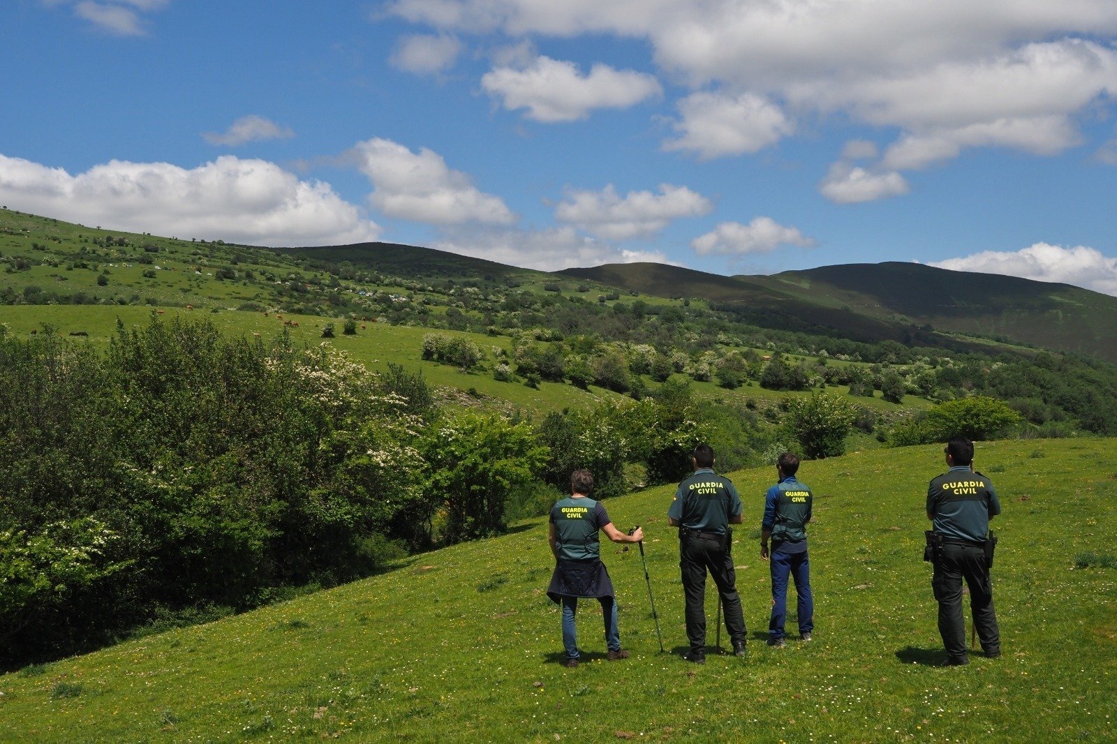 WhatsApp Image 2020-05-26 at 18.44.34